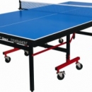 Table Tennis Board Vixen Championship